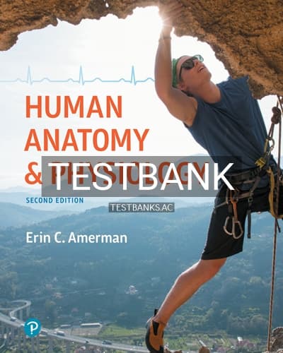 Test Bank for Human Anatomy and Physiology 2nd Edition by Amerman cover