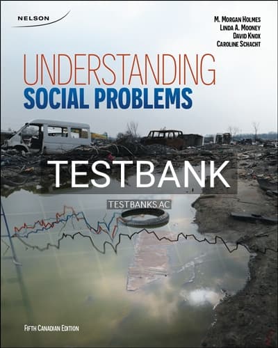 Cover for Test Bank for Understanding Social Problems 5th Edition by Holmes