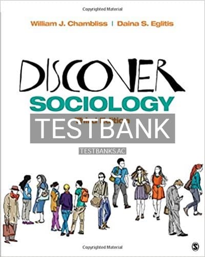 Test Bank for Discover Sociology 3rd Edition by Chambliss cover