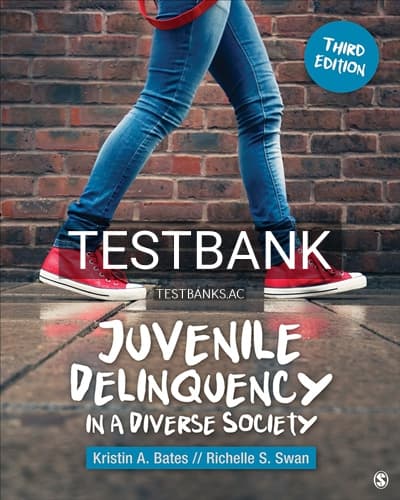 Test Bank for Juvenile Delinquency in a Diverse Society 3rd Edition by Bates cover