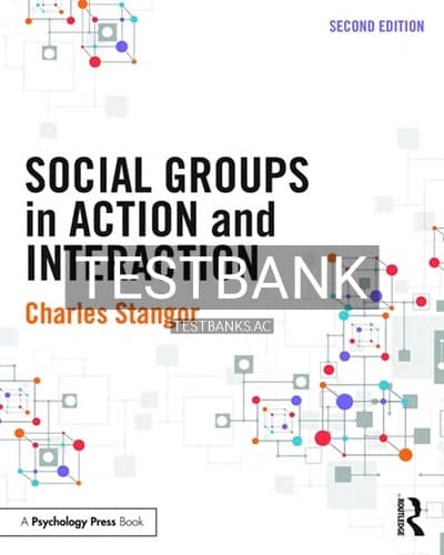 Test Bank for Social Groups in Action and Interaction 2nd Edition by Stangor cover