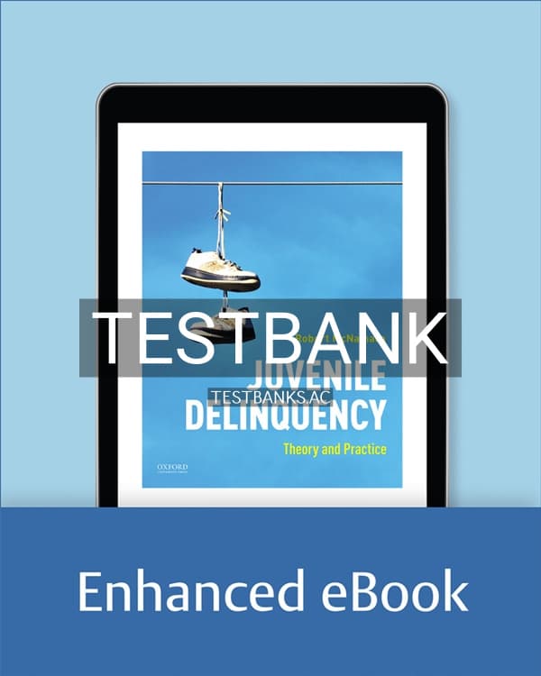 Test Bank for Juvenile Delinquency Theory to Practice 1st US Edition by McNamara cover
