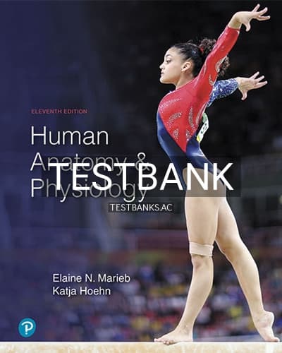Test Bank for Human Anatomy and Physiology 11th Edition by Marieb cover