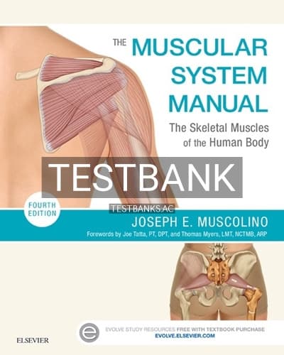 Test Bank for Muscular System Manual 4th Edition by Muscolino cover