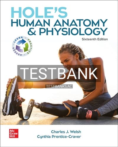 Test Bank for Holes Human Anatomy & Physiology 16th Edition by Welsh cover