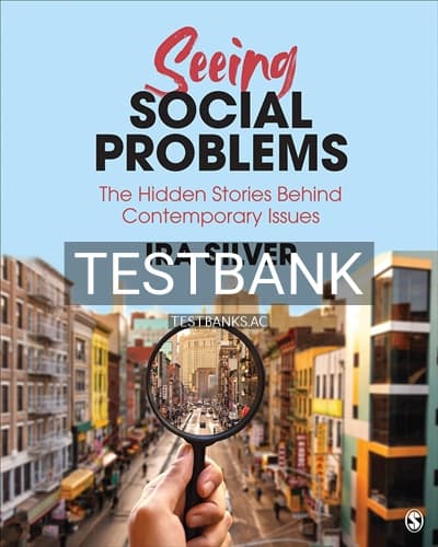 Test Bank for Seeing Social Problems The Hidden Stories Behind Contemporary Issues 1st Edition by Silver cover