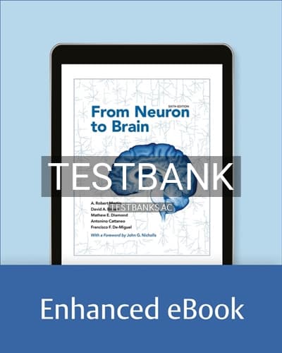 Test Bank for From Neuron to Brain 6th Edition by Martin cover